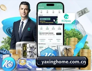 亚星 APP 深度功能